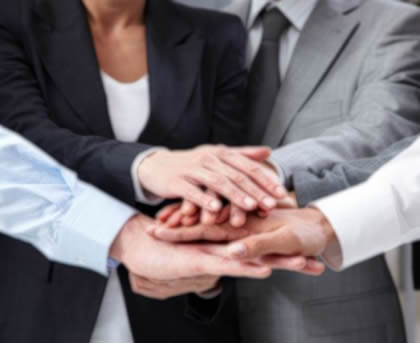MEET OUR PROFESSIONALS